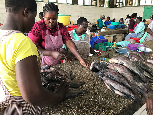 Kisumu-Fish-Market-IMG_4384